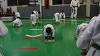 2014final(124)_thumb.png