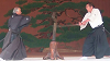 ise17(128)_thumb.png