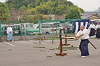 seki24-(210)_thumb.png