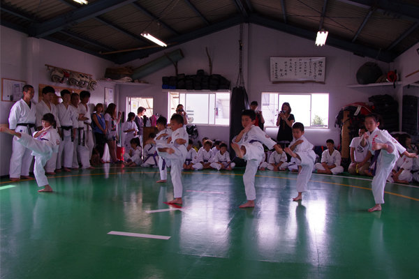 sm6(120).jpg