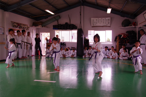 sm6(135).jpg